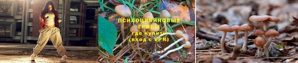 гашик Балахна