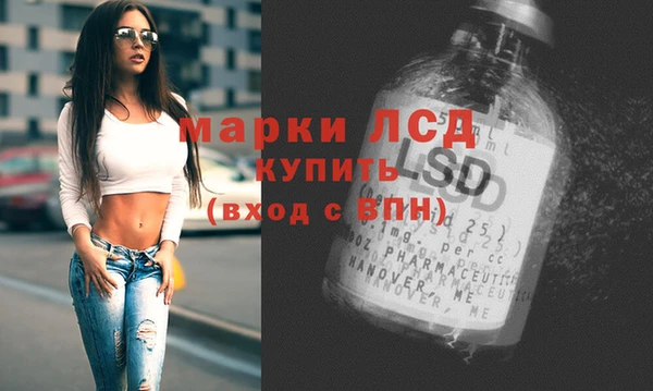 гашик Балахна