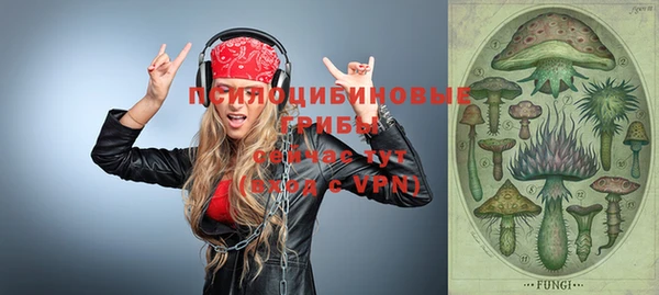 гашик Балахна