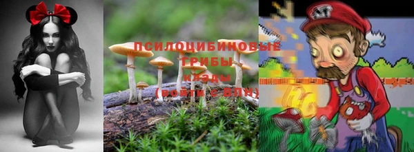 гашик Балахна