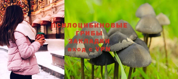гашик Балахна