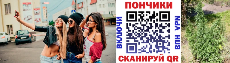 Шишки марихуана OG Kush  Обоянь 